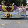 hw-blumenkorso-153.jpg
