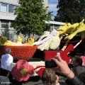hw-blumenkorso-217.jpg