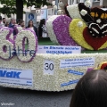 hw-blumenkorso-267.jpg