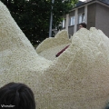hw-blumenkorso-320.jpg