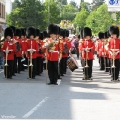 hw-blumenkorso-335.jpg