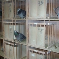 100_0710.jpg