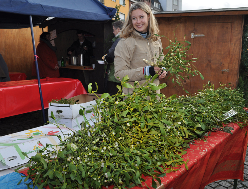 christkindlmarkt_2009-059.jpg