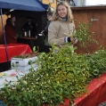 christkindlmarkt_2009-059.jpg