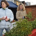 christkindlmarkt_2009-060.jpg