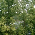 imgp0595.jpg