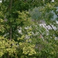 imgp0597.jpg