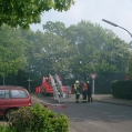 imgp0602.jpg