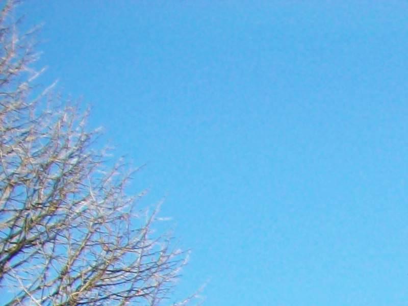 200_1700.jpg