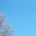 100_1700.jpg