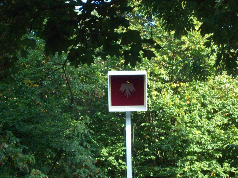 100_1018.jpg
