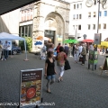 img_4526.jpg