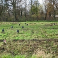 img_0062.jpg