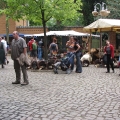img_0885.jpg