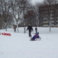 100_1412.jpg