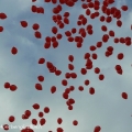 0-0180.jpg