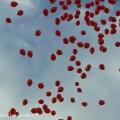 0-0181.jpg
