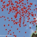 0-0182.jpg