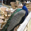 img_3461.jpg