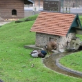 img_3496.jpg