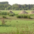 160.jpg