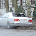 bzmg-p1080321.jpg